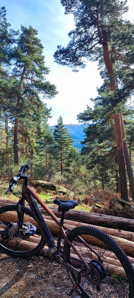 Bicicleta de montaña junto a troncos y al fondo paisaje de los pinares de Valsaín, Segovia.